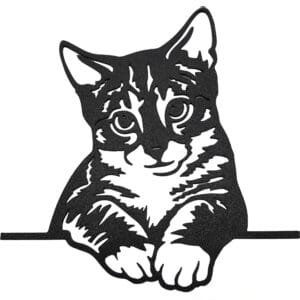 Katt